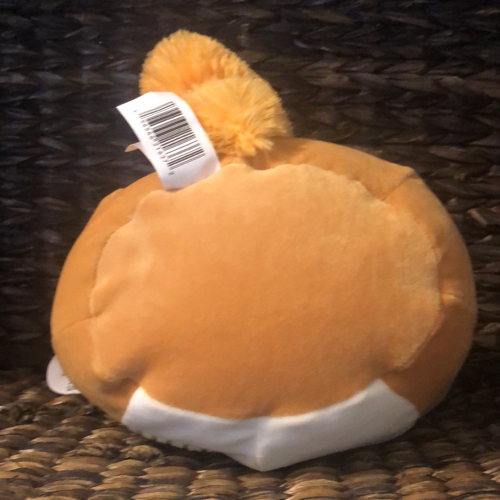 SALE ❤️ NWT Squishmallows Erin the Squirrel Fall collection Stuffed Plush - Picture 6 of 11